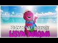 SELFCARE W BARNEY WSVN MIAMI CLIP