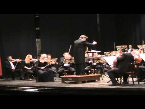 ONDA TG APPROFONDIMENTO   CAMERATA MUSICALE