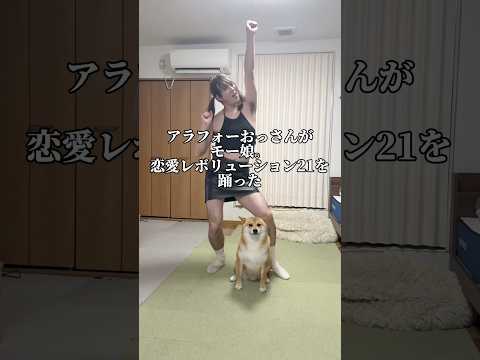 センターは譲れない柴犬(スルースキル炸裂) #柴犬 #shorts