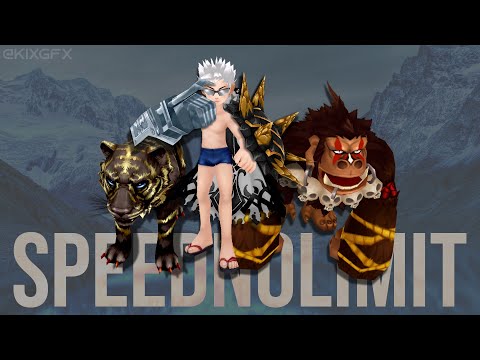 PlayPark FLyff Rhisis Hero/Elite Seige Skies ft. SpeedNOLimit 02/13/2021