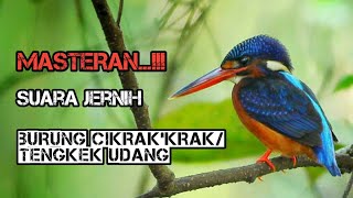 Download lagu 🔴 MASTERAN... ‼️ Suara Jernih BURUNG CIKRAK'KRAK/TENGKEK UDANG mp3