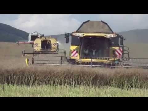 PD Dobrá Niva - Žatva repky olejnej 2014 - 2x Claas Lexion, 2x New Holland, 3x Tatra T815