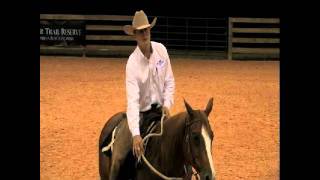 Modern Horseman's Lesson 15 Backing Up.avi