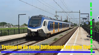 4K | Treinen in de regio Zaltbommel en regio Tiel
