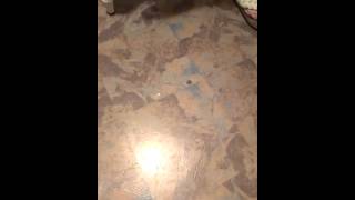 Dawn Richard Ode To You Freestyle by Trenton 2