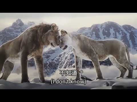 Mufasa: The Lion King - Tell me its you (Chinese Mandarin) Subs & Trans