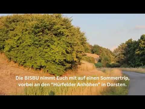 Sommertrip, vorbei an den „Hürfelder Anhöhen“ in Dorsten.