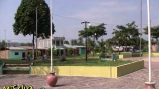 preview picture of video 'Cacatachi en Tarapoto - Perú'