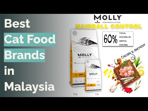 🌵 10 Best Cat Food Brands in Malaysia (Dry, Wet, Premium)