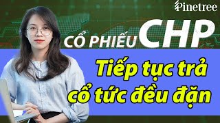 [Phân tích cổ phiếu] CHP – Nỗ lực khắc phục sự cố năm 2021