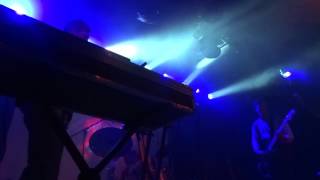 Painted Palms - Disintegrate