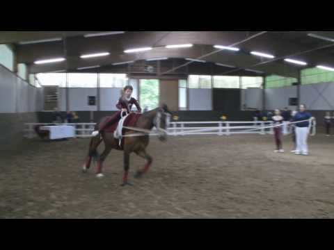RDB 5 Teil 1 auf dem RCG Turnier 9.05.2010 Berlin Grunewald ©2010 sirmatzel