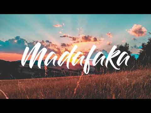 RAK ROOTS - ( ELKA SVG )