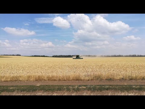 Žně 2018 Harvest 2018 on South Moravia DAŇHEL AGRO