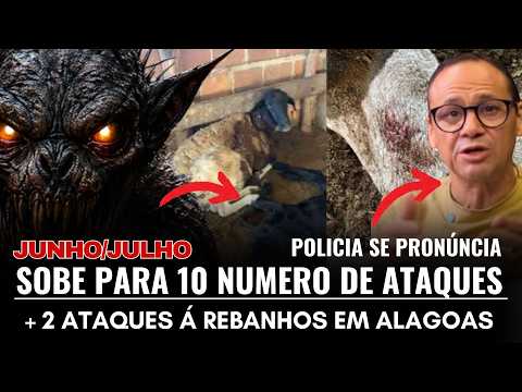 OS ATAQUES VOLTARAM EM ALAGOAS! POLICIA SE PRONÚNCIA + TODOS OS LOCAIS - MATÉRIA COMPLETA