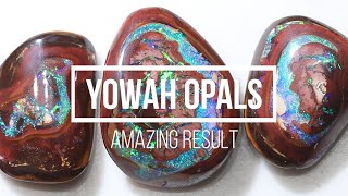 Amazing Opal Result in this Yowah Rough | Opal Auctions