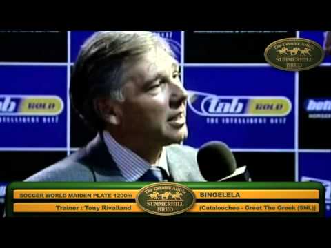 BINGELELA : 2011 SUMMERHILL READY TO RUN GRADUATE