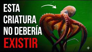 Biología Extraña: Nada en los Pulpos es Normal… y Esta es la Razón