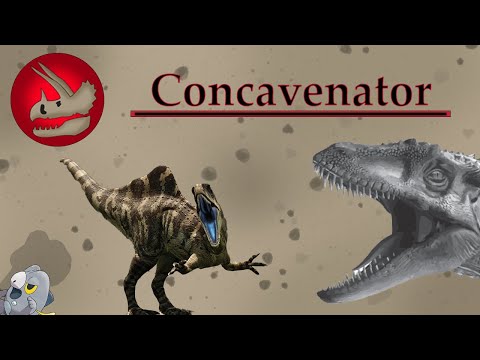 Concavenator | The Hunchback Hunter | Dino Basics