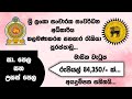 Government Jobs SLTDA Jobs Shan Creation Latest Government Jobs Latest Vacancies Jobs 2026