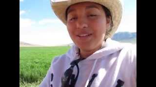 preview picture of video 'Einkorn Wheat growing in Utah'