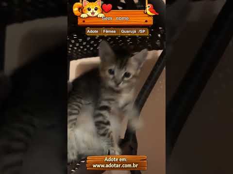 Vídeo de Sem nome
