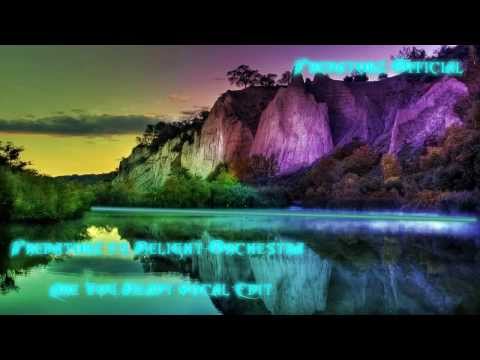 Predatorz vs. Relight Orchestra - Are You Ready (Vocal Edit) Original Mix