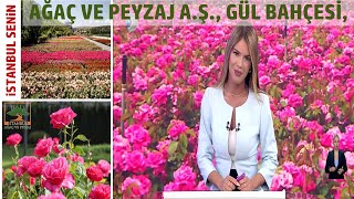 KANAL D HABER İSTANBUL AĞAÇ VE PEYZAJ AŞ GÜL BAHÇELERİ // RENK RENK ,Ç