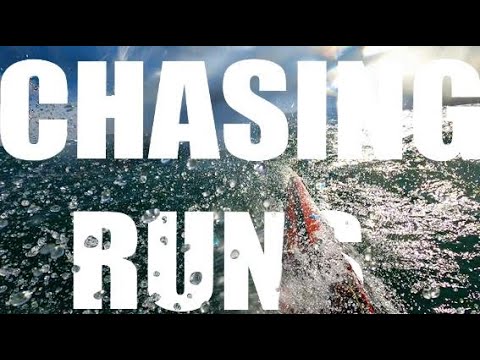 AMAZING SURFSKI DOWNWIND (POV) WITH THINK KAYAK