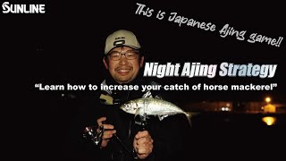“Learn how to increase your catch of horse mackerel” Night Ajing strategy. Shinichiro Fujiwara