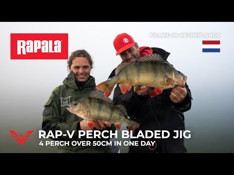 Rapala Rap-V Perch Bladed Jig 8cm 21g SFC