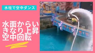 【楽しい】水柱、めっちゃおもしろ空中ダンス！自由自在に飛ぶ♬ #Shorts