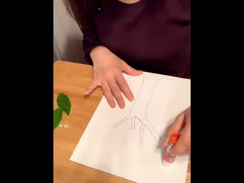 Nature Craft Project with Ms. Sarah