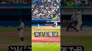 関東一高エース石井くんの消えるスライダー #shorts