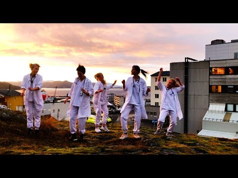 Finnmarksmodellen MK-13