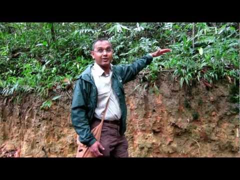 MVI 3588 Gehan on soil ecology