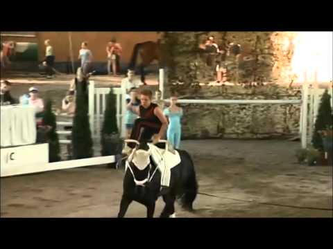 CVI Frenstat kur Florian Grill Fairytale 6