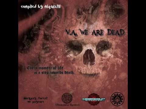 09. Insane el rato - A Cyborg Day Front Of The Sea - VA. We are Dead (CD2) By Ultratumba Records