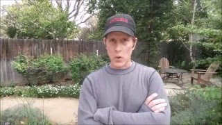 Flesh and Bone #ShakespeareInsultChallenge video