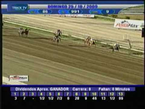 Resumen domingo 25 de Octubre La Rinconada