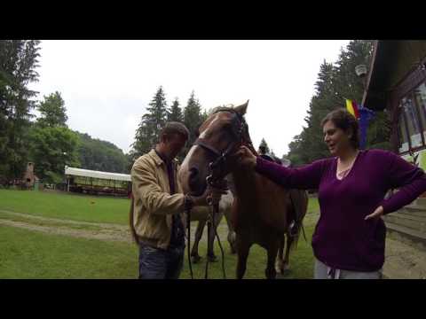 Film de prezentare Complex Casoaia