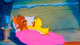 Tom and Jerry - Episode 47 - Little Quacker (1950)
