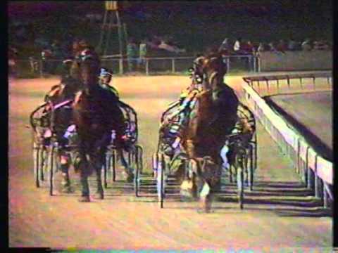 1984 Interdominions - Pacers' 10th Heat, Globe Derby Park, Adelaide: Enterprise