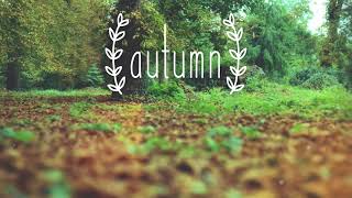 Autumn Chill Mix