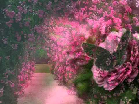 Kiedy odejdziesz (voc. Iza Furdal)