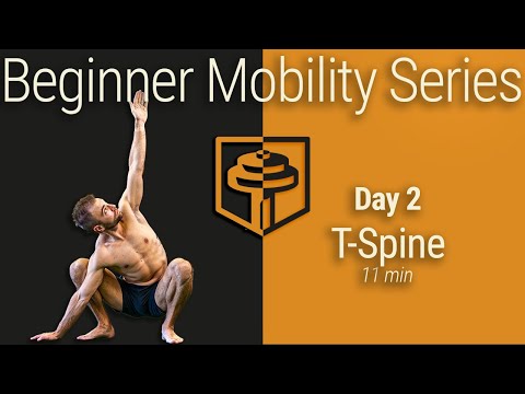 Day 2: T-Spine Mobility | 12 Minutes | Beginner Mobility Series thumbnail
