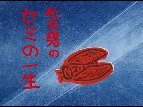 松元碧の【セミの一生】