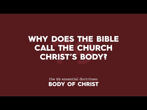 Why does the Bible call the church Christ's body?