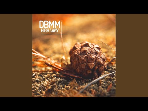 Road Trippin' (Original Mix)