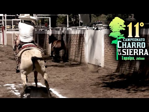 Piales en el Lienzo 3er día - 11vo Campeonato de la Sierra TAPALPA 2024